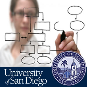 Online Course Guidelines - Minimum Characteristics Online Course Guidelines - Minimum Characteristics